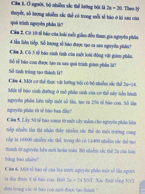 Ở người, bộ nhiễm sắc thể lưỡng bội là 2n=20. Theo lý 
thuyết, số lượng nhiễm sắc thể có trong mỗi tế bào ở kỉ sau của 
quá trình nguyên phân là? 
Câu 2. Có 10 tế bảo của loài ruồi giắm đều tham gia nguyên phân
4 lần liên tiếp. Số lượng tế bảo được tạo ra sau nguyên phân? 
Câu 3. Có 5 tế bảo sinh tinh của một loài động vật giảm phân. 
Số tế bào con được tạo ra sau quá trình giám phân là? 
Số tinh trùng tạo thành là? 
Câu 4. Một cơ thể thực vật lưỡng bội có bộ nhiễm sắc thể 2n=14. 
Một tế bảo sinh đưỡng ở mô phần sinh của cơ thể này tiến hành 
nguyên phân liên tiếp một số lần, tạo ra 256 tế bào con. Sổ lằn 
nguyên phân từ tể bảo ban đầu? 
Câu 5. Lầy 50 tế bào soma tử một cây mằm cho nguyên phân liên 
tiếp nhiều lần thì nhận thầy nhiễm sắc thẻ do môi trường cung 
cập là 16800 nhiễm sắc thể, trong đó có 14400 nhiễm sắc thể tạo 
thành tử nguyễn liệu mới hoàn toàn. Bộ nhiễm sắc thể 2n của loài 
bāng bao nhiêu? 
Câu 6. Một tế bào rẻ của lúa nước nguyên phân một số lần người 
ta thu được 8 tế bảo con. Biết 2n=24NST Xác định tổng NST 
đơn trong các tế bào con mới được tạo thành ?