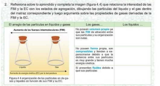 Reflexiona sobre lo aprendido y completa la imagen (figura 4.4) que relaciona la intensidad de las
FIM y la EC con los estados de agregación, dibujando las partículas del líquido y el gas dentro
del matraz correspondiente y luego argumenta sobre las propiedades de gases derivadas de la
FIM y la EC.
El arreglo de las partículas en líquidos y gases Los gases... Los líquidos ...
No poseen volumen propio ya
Aumento de las fuerzas intermoleculares (FIM) que las FIM de atracción entre
son nulas. sus partículas y su organización
No poseen forma propia, son
compresibles y tienden a ex-
pansionarse debido a que la
distancia entre sus partículas
energía cinética. es muy grande y tienen mucha
Liquido Gas Sí presentan fluídez debido a
Aumento de energía cinética (EC) por la temperatura que sus partículas
Figura 4 4 organización de las partículas en de ga-
ses y líquidos en función de sus FIM y su EC.