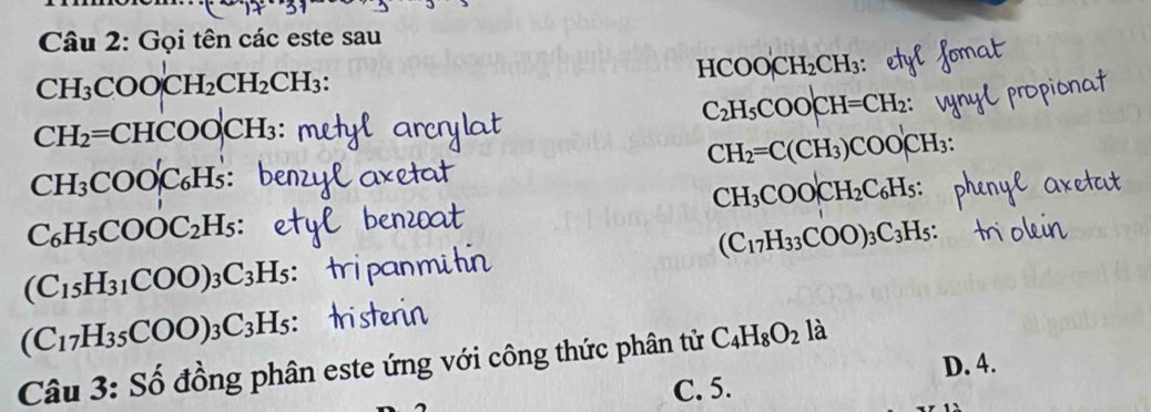 Gọi tên các este sau
CH_3COO|CH_2CH_2CH_3 :
HCOOCH_2CH_3
C_2H_5COOCH=CH_2 :
CH_2=CHCOO|CH_3
CH_2=C(CH_3) COOCH_3 :
CH_3 COO'C_6H
CH_3COO|CH_2C_6H_5 :
C_6H_5COOC_2 A
(C_15H_31COO)_3 C_3 3H5: (C_17H_33COO)_3C_3H_5 :
(C_17H_35COO)_3C_3H_5 :
Câu 3: Số đồng phân este ứng với công thức phân tử C_4H_8O_2 là
D. 4.
C. 5.