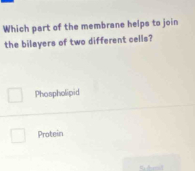 Which part of the membrane helps to join
the bilayers of two different cells?
Phospholipid
Protein