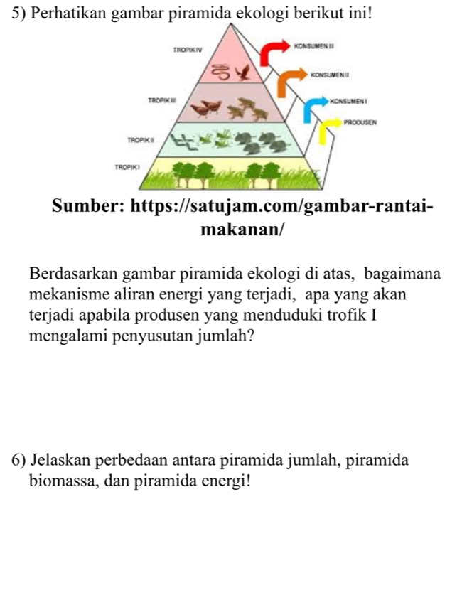 Perhatikan gambar piramida ekologi berikut ini! 
Sumber: https://satujam.com/gambar-rantai- 
makanan/ 
Berdasarkan gambar piramida ekologi di atas, bagaimana 
mekanisme aliran energi yang terjadi, apa yang akan 
terjadi apabila produsen yang menduduki trofik I 
mengalami penyusutan jumlah? 
6) Jelaskan perbedaan antara piramida jumlah, piramida 
biomassa, dan piramida energi!