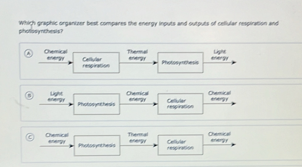 Which graphic organizer best compares the energy inputs and outputs of cellular respiration and 
photesynthesis? 
_ 
Chemical Thermal Light 
energy Cellular energy Photosynthesis energy 
respiration 
_ 
_ 
_ 
a Light _Chemical Cherical 
energy Cellular energy 
energy Photosynthesis 
respiration 
_ 
_ 
_ 
_ 
Chemical __Thermal __Chemical 
energy Cellular energy 
energy Photosynthesis 
respiration 
_ 
_