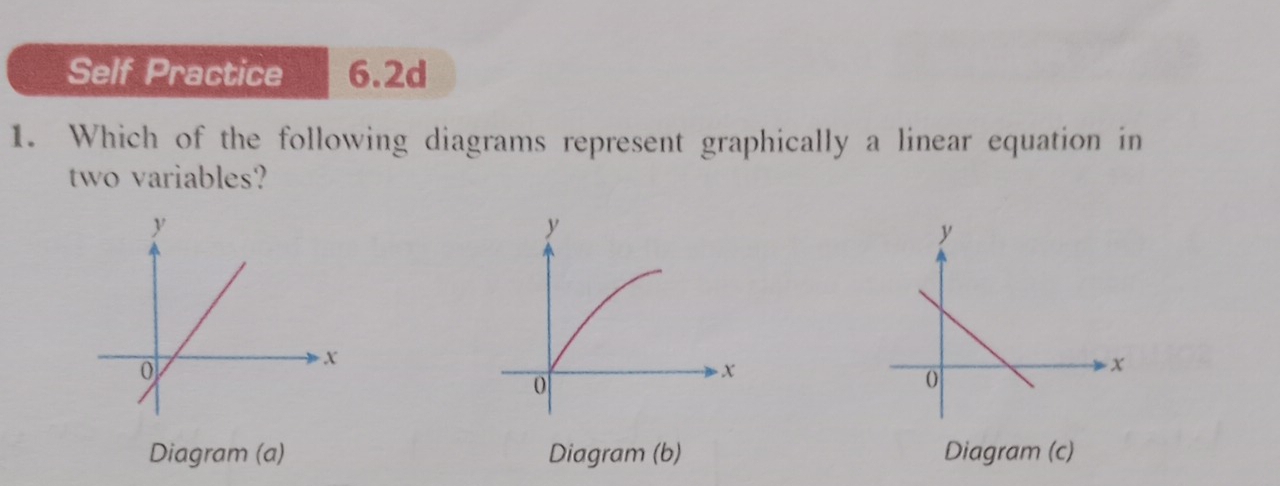 Self Practice 6.2d 
1. Which of the following diagrams represent graphically a linear equation in 
two variables? 
Diagram (a) Diagram (b) Diagram (c)