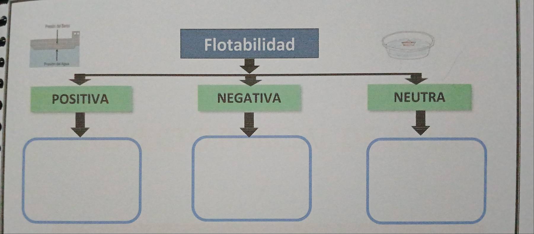 Presón del Barto
Flotabilidad
POSITIVA NEGATIVA NEUTRA