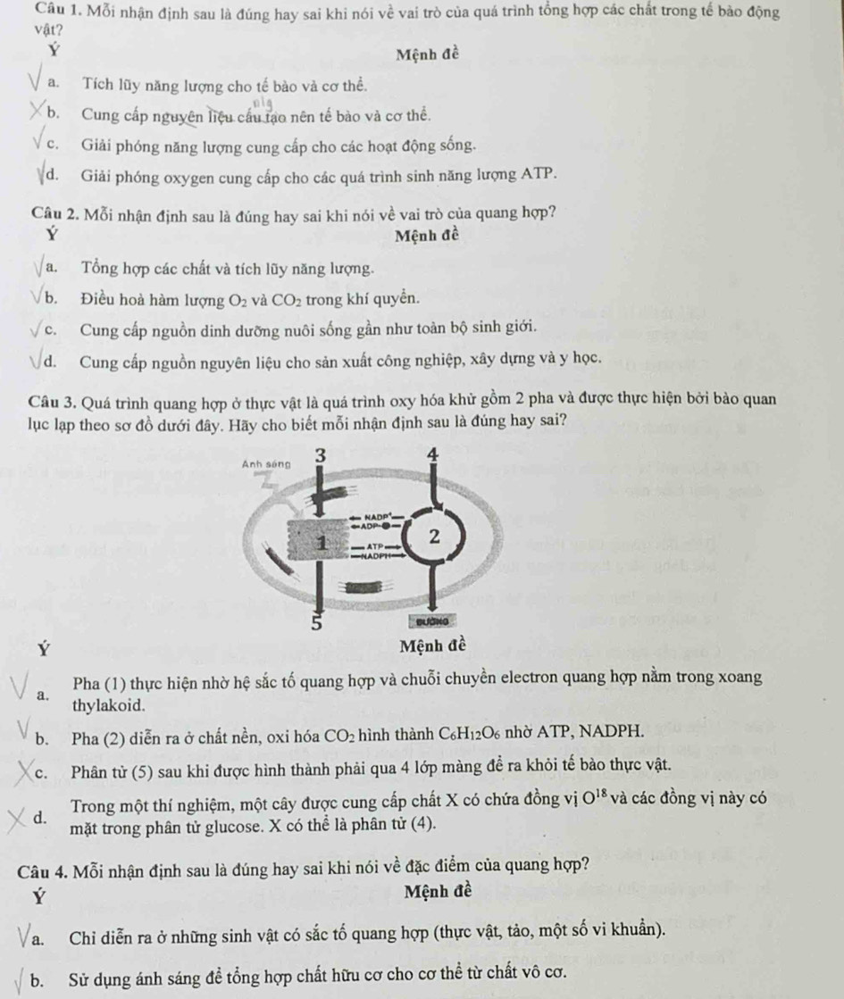 Cầu 1. Mỗi nhận định sau là đúng hay sai khi nói về vai trò của quá trình tổng hợp các chất trong tế bào động
vật?
Ý
Mệnh đề
a. Tích lũy năng lượng cho tế bào và cơ thể.
b. Cung cấp nguyên liệu cầu tạo nên tế bào và cơ thể.
c. Giải phóng năng lượng cung cấp cho các hoạt động sống.
d. Giải phóng oxygen cung cấp cho các quá trình sinh năng lượng ATP.
Câu 2. Mỗi nhận định sau là đúng hay sai khi nói về vai trò của quang hợp?
Ý Mệnh đề
a. Tổng hợp các chất và tích lũy năng lượng.
b. Điều hoà hàm lượng O_2 và CO_2 trong khí quyển.
c. Cung cấp nguồn dinh dưỡng nuôi sống gần như toàn bộ sinh giới.
d. Cung cấp nguồn nguyên liệu cho sản xuất công nghiệp, xây dựng và y học.
Câu 3. Quá trình quang hợp ở thực vật là quá trình oxy hóa khử gồm 2 pha và được thực hiện bởi bào quan
lục lạp theo sơ đồ dưới đây. Hãy cho biết mỗi nhận định sau là đúng hay sai?
Ý
a. Pha (1) thực hiện nhờ hệ sắc tố quang hợp và chuỗi chuyền electron quang hợp nằm trong xoang
thylakoid.
b. Pha (2) diễn ra ở chất nền, oxi hóa CO_2 hình thành C_6H_12O_6 nhờ ATP, NADPH.
c. Phân tử (5) sau khi được hình thành phải qua 4 lớp màng để ra khỏi tế bào thực vật.
Trong một thí nghiệm, một cây được cung cấp chất X có chứa đồng vị O^(18) và các đồng vị này có
d. mặt trong phân tử glucose. X có thể là phân tử (4).
Câu 4. Mỗi nhận định sau là đúng hay sai khi nói về đặc điểm của quang hợp?
Ý Mệnh đề
a. Chỉ diễn ra ở những sinh vật có sắc tố quang hợp (thực vật, tảo, một số vi khuẩn).
b. Sử dụng ánh sáng đề tổng hợp chất hữu cơ cho cơ thể từ chất vô cơ.