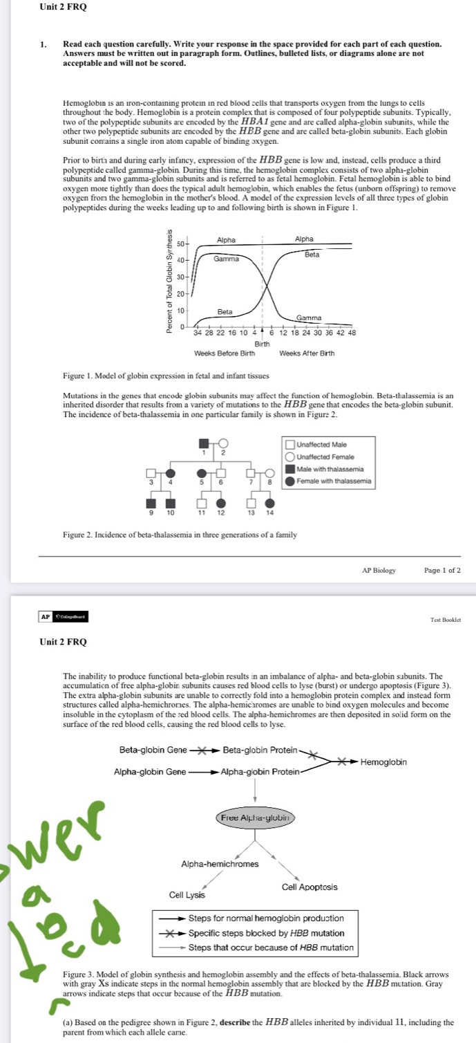 FRQ
Answers must be written out in paragraph form. Outlines, bulleted lists, or diagrams alone are not
acceptable and will not be scored.
Hemoglobin is an iron-containing protein in red blood cells that transports oxygen from the lungs to cells
two of the polypeptide subunits are encoded by the HBA1 gene and are called alpha-globin subunits, while the
other two polypeptide subunits are encoded by the HBB gene and are called beta-globin subunits. Each globin
subunit contains a single iron atom capable of binding ɔxygen
Prior to birth and during early infancy, expression of the HBB gene is low and, instead, cells produce a third
oxygen more tightly than does the typical adult hemoglobin, which enables the fetus (unborn offspring) to remove
oxygen from the hemoglobin in the mother's blood. A model of the expression levels of all three types of globin
so Alpha Alpha
10 Gamma Beta
30
20
10 Beta
Gamma
34 28 22 16 10 12 18 24 30 36 42 48
Birth
Weeks Before Birth Weeks After Birth
Figure 1. Model of globin expression in fetal and infant tissues
Mutations in the genes that encode globin subunits may affect the function of hemoglobin. Beta-thalassemia is an
inherited disorder that results from a variety of mutations to the HBB gene that encodes the beta-globin subunit
The incidence of beta-thalassemia in one particular family is shown in Figure 2.
Unaffected Male
Unaffected Female
Male with thalassemia
Female with thalassemia
Figure 2. Incidence of beta-thalassemia in three generations of a family
AP Biology Page 1 of 2
AP Ở Catlong aieas
Unit 2 FRQ
The inability to produce functional beta-globin results in an imbalance of alpha- and beta-globin subunits. The
accumulaticn of free alpha-globin subunits causes red blood cells to lyse (burst) or undergo apoptosis (Figure 3)
The extra alpha-globin subunits are unable to correctly fold into a hemoglobin protein complex and instead form
structures called alpha-hemichromes. The alpha-hemichromes are unable to bind oxygen molecules and become
insoluble in the cytoplasm of the red blood cells. The alpha-hemichromes are then deposited in solid form on the
Beta-globin Gene  Beta-globin Protein
Hemoglobin
Alpha-globin Gene Alpha-g|obin Protein
√
Free Alpha-globin
Alpha-hemichromes
Cell Apoptosis
Cell Lysis
Steps for normal hemoglobin produstion
Specific steps blocked by HBB mutation
Figure 3. Model of globin synthesis and hemoglobin assembly and the effects of beta-thalassemia. Black arrows
with gray Xs indicate steps in the normal hemoglobin assembly that are blocked by the HBB mutation. Gray
arrows indicate steps that occur because of the HBB mutation.
(a) Based on the pedigree shown in Figure 2, describe the HBB alleles inherited by individual 11, including the
parent from which each allele came