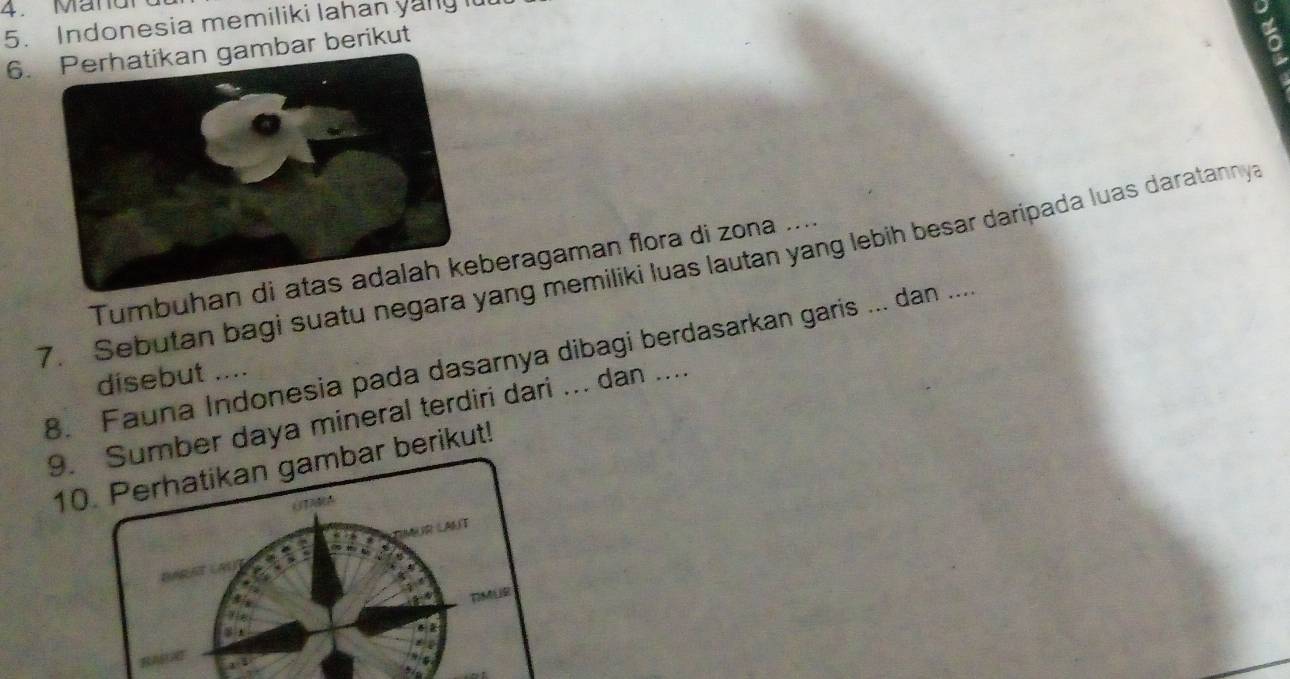 Mänd 
5. Indonesia memiliki lahan yang it 
6.ambar berikut 
7. Sebutan bagi suatu negara yang memiliki luas lautan yang lebih besar daripada luas daratannya 
Tumbuhan deragaman flora di zona .... 
8. Fauna Indonesia pada dasarnya dibagi berdasarkan garis ... dan .... 
disebut .... 
9. Sumber daya mineral terdiri dari ... dan .... 
10. Perhatikan gambar berikut! 
TIMUE