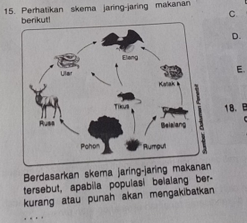 Perhatikan skema jaring-jaring makanan
C
berikut!
D.
E.
18. B
C
Berdasarkan skema jaring-jaring mak
tersebut, apabila populasi belalang ber-
kurang atau punah akan mengakibatkan