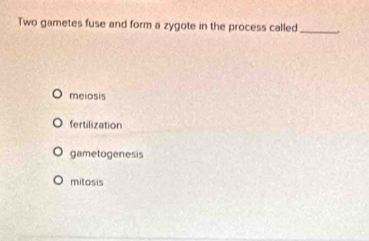 Two gametes fuse and form a zygote in the process called_
meiosis
fertilization
gametogenesis
mitosis