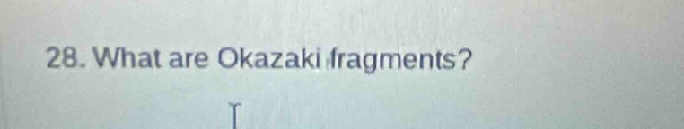 What are Okazaki fragments?