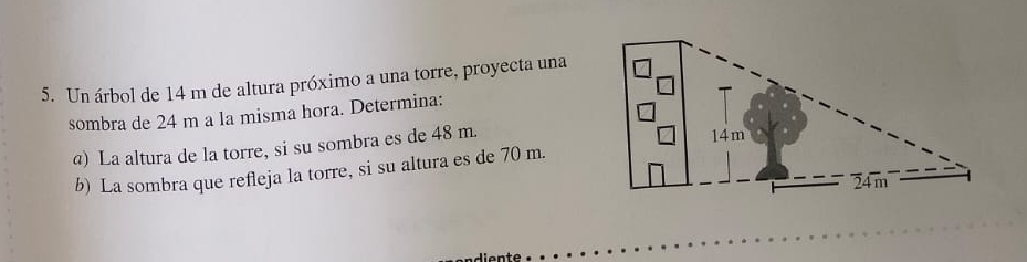 Un árbol de 14 m de altura próximo a una torre, proyecta una 
sombra de 24 m a la misma hora. Determina: 
a) La altura de la torre, si su sombra es de 48 m. 
b) La sombra que refleja la torre, si su altura es de 70 m.