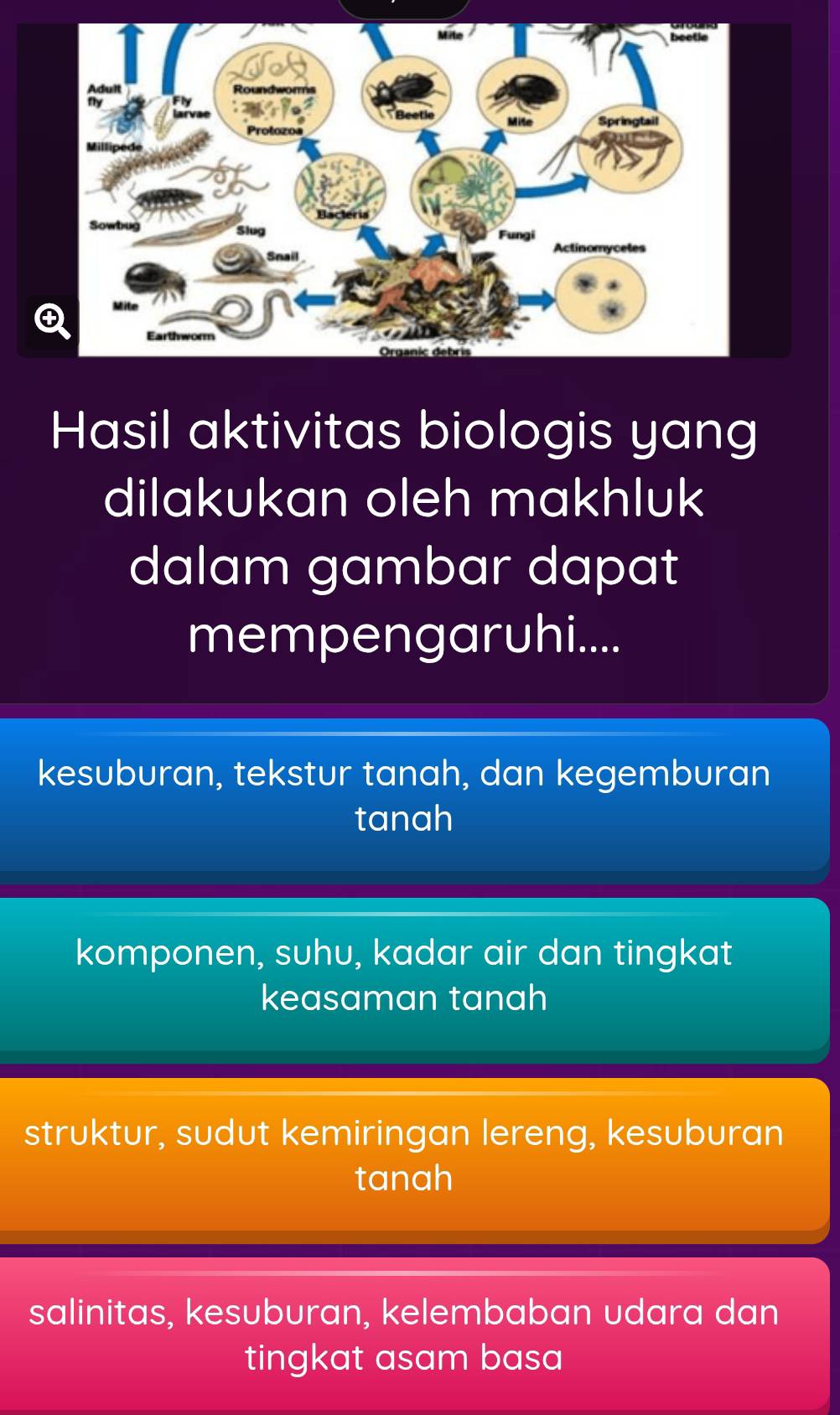 Hasil aktivitas biologis yang
dilakukan oleh makhluk
dalam gambar dapat
mempengaruhi....
kesuburan, tekstur tanah, dan kegemburan
tanah
komponen, suhu, kadar air dan tingkat
keasaman tanah
struktur, sudut kemiringan lereng, kesuburan
tanah
salinitas, kesuburan, kelembaban udara dan
tingkat asam basa