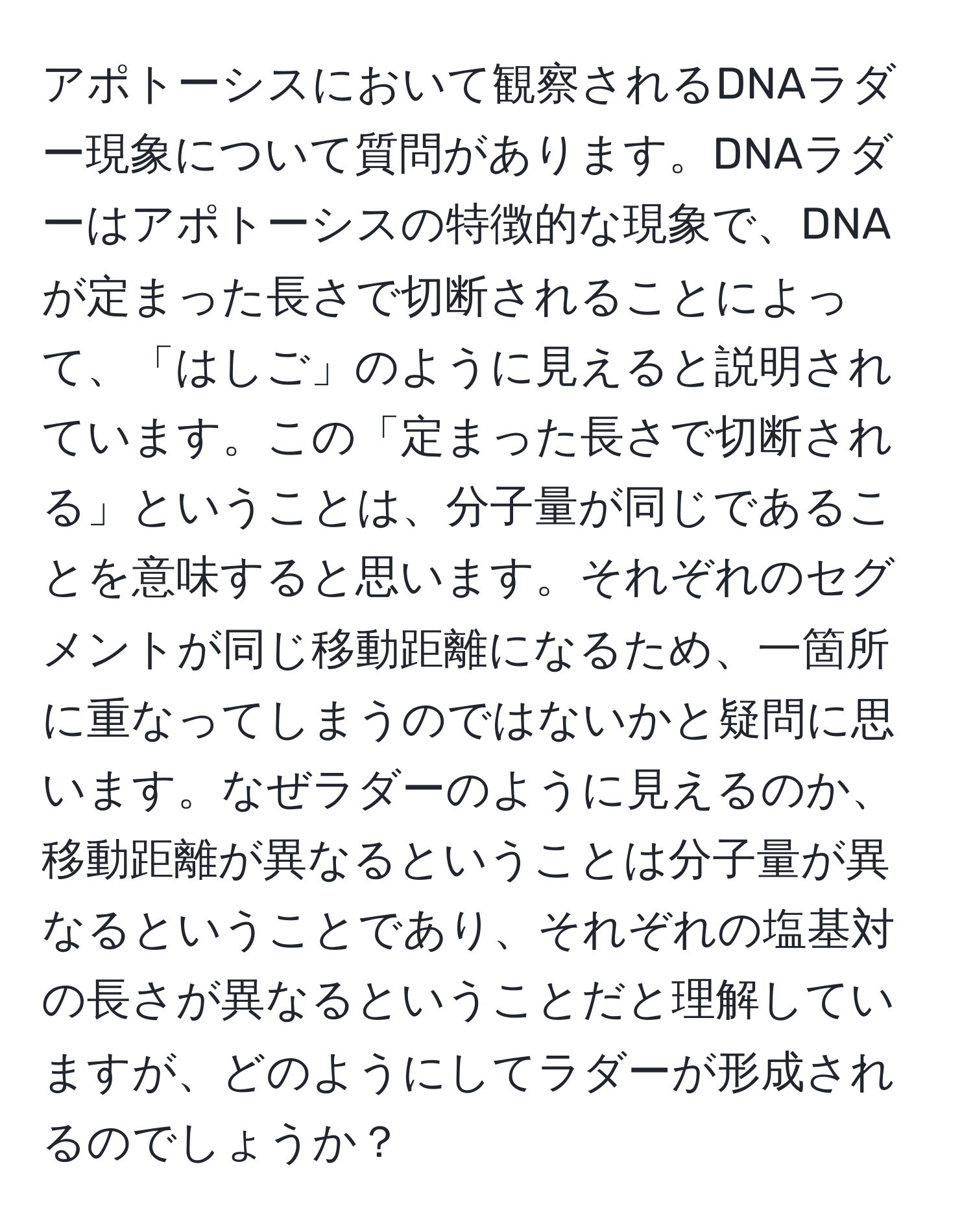 アポトーシスにおいて観察されるDNAラダー現象について質問があります。DNAラダーはアポトーシスの特徴的な現象で、DNAが定まった長さで切断されることによって、「はしご」のように見えると説明されています。この「定まった長さで切断される」ということは、分子量が同じであることを意味すると思います。それぞれのセグメントが同じ移動距離になるため、一箇所に重なってしまうのではないかと疑問に思います。なぜラダーのように見えるのか、移動距離が異なるということは分子量が異なるということであり、それぞれの塩基対の長さが異なるということだと理解していますが、どのようにしてラダーが形成されるのでしょうか？