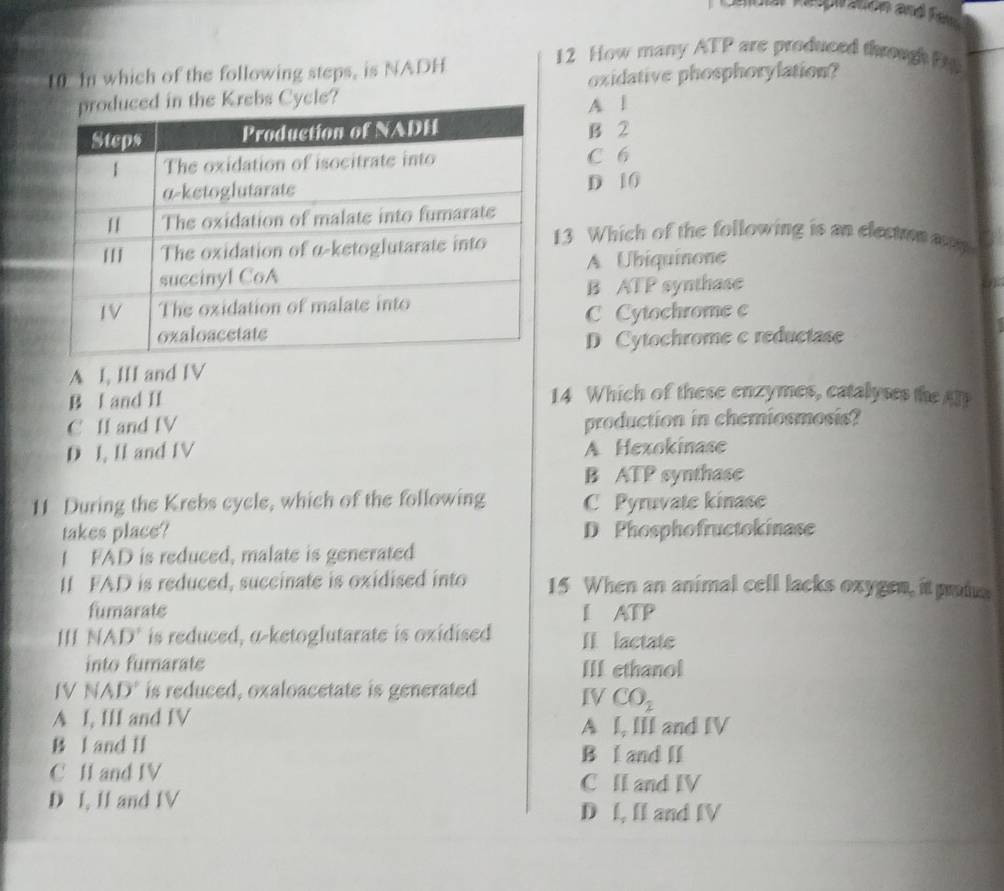 cer Repr aen and für
10 In which of the following steps, is NADH
12 How many ATP are produced through F 
ycle? oxidative phosphorylation?
A |
B 2
C 6
D 10
13 Which of the following is an electron a
A Ubiquinone
B ATP synthase
C Cytochrome c
D Cytochrome c reductase
A I, III and IV
B l and II 14 Which of these enzymes, catalyses the AT
C II and IV production in chemiosmosis?
D I, II and IV A Hexokinase
B ATP synthase
11 During the Krebs cycle, which of the following C Pyruvate kinase
takes place? D Phosphofructokinase
I FAD is reduced, malate is generated
II FAD is reduced, succinate is oxidised into 15 When an animal cell lacks oxygen, it pmina
fumarate I ATP
III NAD" is reduced, α-ketoglutarate is oxidised I lactate
into fumarate III ethanol
IV NAD" is reduced, oxaloacetate is generated IV CO_2
A I, III and IV
A I, III and IV
B I and I B I and lI
C II and IV C II and IV
D I, II and IV
D l, II and IV