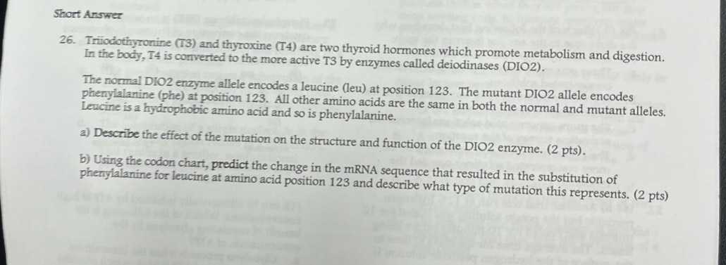 Short Answer 
26. Triiodothyronine (T3) and thyroxine (T4) are two thyroid hormones which promote metabolism and digestion. 
In the body, T4 is converted to the more active T3 by enzymes called deiodinases (DIO2). 
The normal DIO2 enzyme allele encodes a leucine (leu) at position 123. The mutant DIO2 allele encodes 
phenylalanine (phe) at position 123. All other amino acids are the same in both the normal and mutant alleles. 
Leucine is a hydrophobic amino acid and so is phenylalanine. 
a) Describe the effect of the mutation on the structure and function of the DIO2 enzyme. (2 pts). 
b) Using the codon chart, predict the change in the mRNA sequence that resulted in the substitution of 
phenylalanine for leucine at amino acid position 123 and describe what type of mutation this represents. (2 pts)