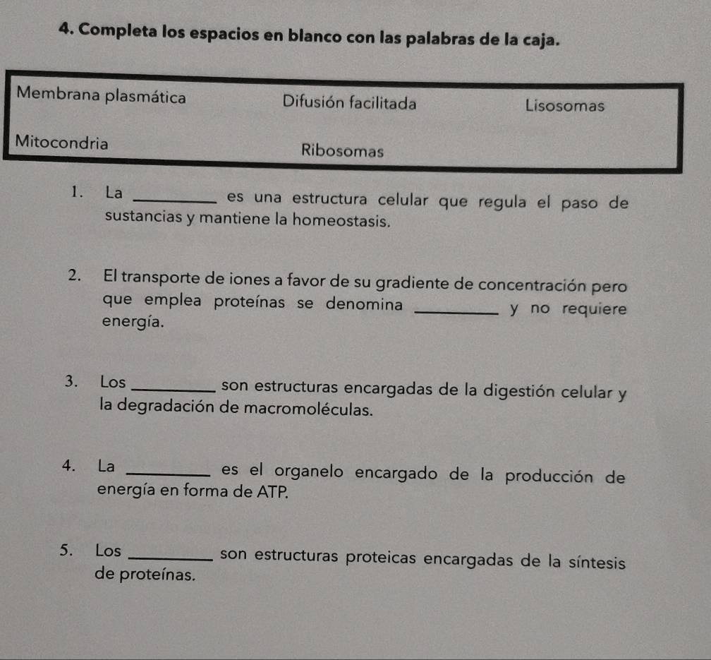 Completa los espacios en blanco con las palabras de la caja.
Membrana plasmática Difusión facilitada Lisosomas
Mitocondria Ribosomas
1. La _es una estructura celular que regula el paso de
sustancias y mantiene la homeostasis.
2. El transporte de iones a favor de su gradiente de concentración pero
que emplea proteínas se denomina _y no requiere
energía.
3. Los _son estructuras encargadas de la digestión celular y
la degradación de macromoléculas.
4. La _es el organelo encargado de la producción de
energía en forma de ATP.
5. Los _son estructuras proteicas encargadas de la síntesis
de proteínas.