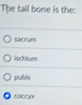 The tail bone is the:
sacrum
ischium
publs
coceyx