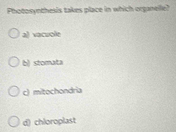 Photosynthesis takes place in which organelle?
a) vacuole
b) stomata
c) mitochondria
d) chloroplast