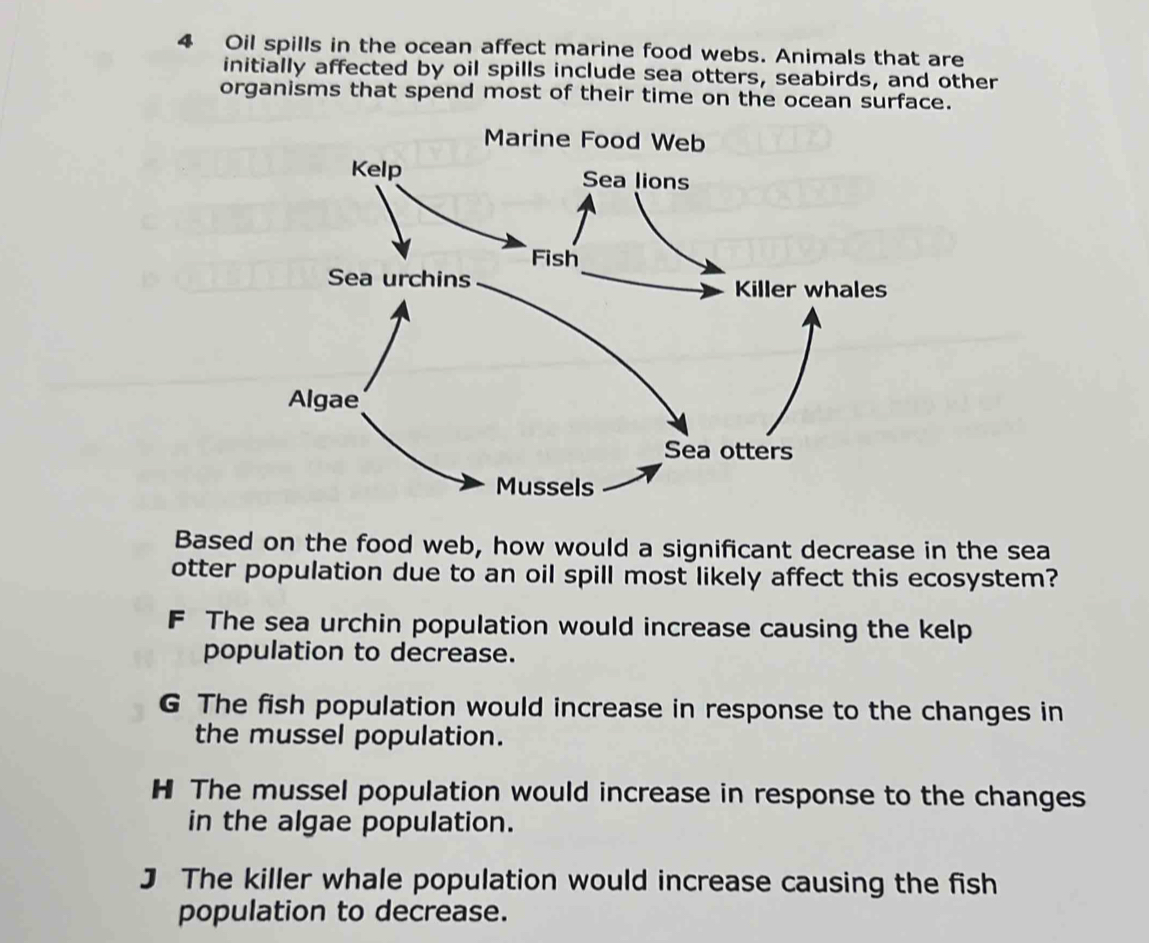 Oil spills in the ocean affect marine food webs. Animals that are
initially affected by oil spills include sea otters, seabirds, and other
organisms that spend most of their time on the ocean surface.
Marine Food Web
Kelp Sea lions
Fish
Killer whales
Based on the food web, how would a significant decrease in the sea
otter population due to an oil spill most likely affect this ecosystem?
F The sea urchin population would increase causing the kelp
population to decrease.
G The fish population would increase in response to the changes in
the mussel population.
H The mussel population would increase in response to the changes
in the algae population.
J The killer whale population would increase causing the fish
population to decrease.