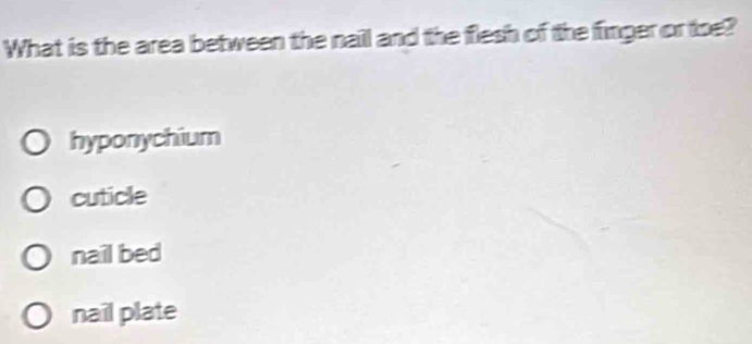 What is the area between the naill and the flesh of the finger or toe?
hyponychium
cuticle
nail bed
nail plate