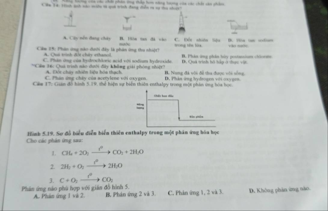 Kăng lượng của các chấi phân ứng thập hơa năng lượng của các chất sâu phẩm
Cản 14: Hình ảnh năn miên tả quả trình đeng điễn rà sự thu nhiệt?
A. Cây nền đang chây B. Hòa tan đá vào C. Đốt nhiên liệu D. Hoa tan sodium
mước trong tên lửa. vào nước.
Căn 15: Phản ứng nào dưới đây là phản ứng thu nhiệt?
A. Quá trinh đốt chây ethanol. B. Phân ứng phân hủy postassium chlorate
C. Phân ứng của hydrochloric acid với sodium hydroxide. D. Quá trình hô háp ở thực vật.
*Cầu 16: Quá trình nào dưới đây không giải phóng nhiệt''
A. Đốt cháy nhiên liệu hóa thạch. B. Nung đá vôi để thu được với sống.
C. Phân ứng chây của acetylene với oxygen. D. Phản ứng hydrogen với oxygen.
Cầu 17: Gián đồ hình 5.19, thể hiện sự biển thiên enthalpy trong một phản ứng hóa học.
Hình 5.19. Sơ đồ biểu diễn biến thiên enthalpy trong một phản ứng hóa học
Cho các phản ứng sau:
1. CH_4+2O_2xrightarrow t^0CO_2+2H_2O
2. 2H_2+O_2xrightarrow t^02H_2O
3. C+O_2xrightarrow t^0CO_2
Phản ứng nào phù hợp với giản đồ hình 5.
A. Phản ứng 1 và 2. B. Phân ứng 2 và 3. C. Phản ứng 1, 2 và 3. D. Không phản ứng nào.