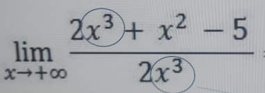 limlimits _xto +∈fty  (2x^3+x^2-5)/2x^3) 