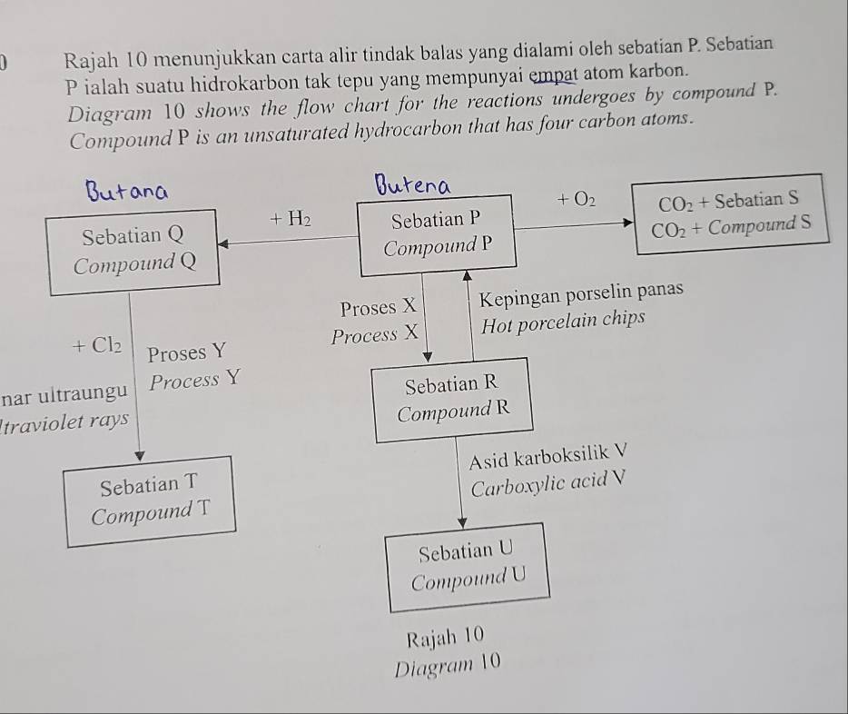 Rajah 10 menunjukkan carta alir tindak balas yang dialami oleh sebatian P. Sebatian
P ialah suatu hidrokarbon tak tepu yang mempunyai empat atom karbon.
Diagram 10 shows the flow chart for the reactions undergoes by compound P.
Compound P is an unsaturated hydrocarbon that has four carbon atoms.
+O_2
Sebatian Q Sebatian P CO_2 ⊥ Sebatian S
+H_2
CO_2+
Compound Q Compound P Compound S
Proses X Kepingan porselin panas
Process X Hot porcelain chips
+Cl_2 Proses Y
nar ultraungu Process Y
Sebatian R
traviolet rays
Compound R
Sebatian T Asid karboksilik V
Compound T Carboxylic acid V
Sebatian U
Compound U
Rajah 10
Diagram 10