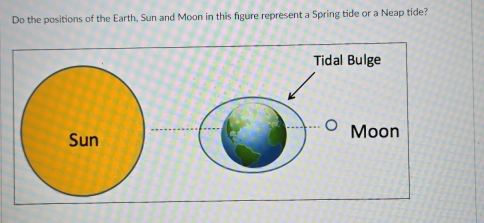 Do the positions of the Earth, Sun and Moon in this figure represent a Spring tide or a Neap tide? 
Tidal Bulge 
Moon