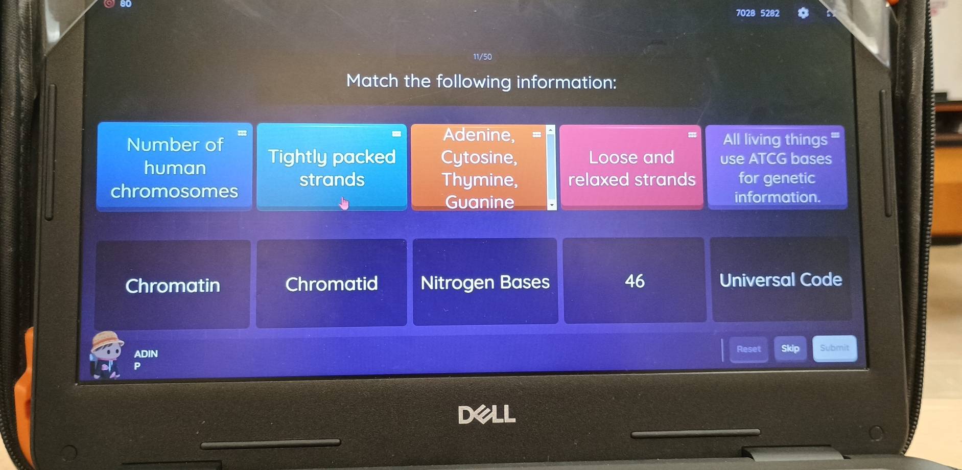 7028 5282
11/50
Match the following information:
Number of
Adenine, All living things
human
Tightly packed Cytosine, Loose and use ATCG bases
strands Thymine, relaxed strands for genetic
chromosomes information.
Guanine
Chromatin Chromatid Nitrogen Bases 46 Universal Code
ADIN Reset Submit