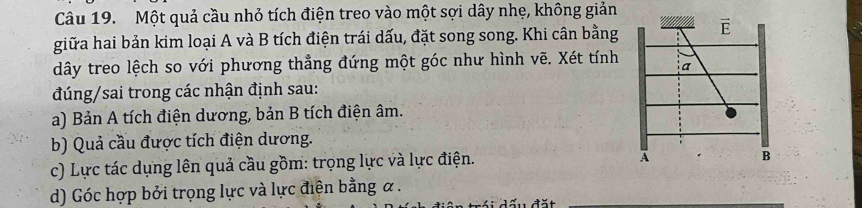 Một quả cầu nhỏ tích điện treo vào một sợi dây nhẹ, không giản
giữa hai bản kim loại A và B tích điện trái dấu, đặt song song. Khi cân bằng
dây treo lệch so với phương thẳng đứng một góc như hình vẽ. Xét tính 
đúng/sai trong các nhận định sau:
a) Bản A tích điện dương, bản B tích điện âm.
b) Quả cầu được tích điện dương.
c) Lực tác dụng lên quả cầu gồm: trọng lực và lực điện.
d) Góc hợp bởi trọng lực và lực điện bằng α.
s  d ấ u đặ  t