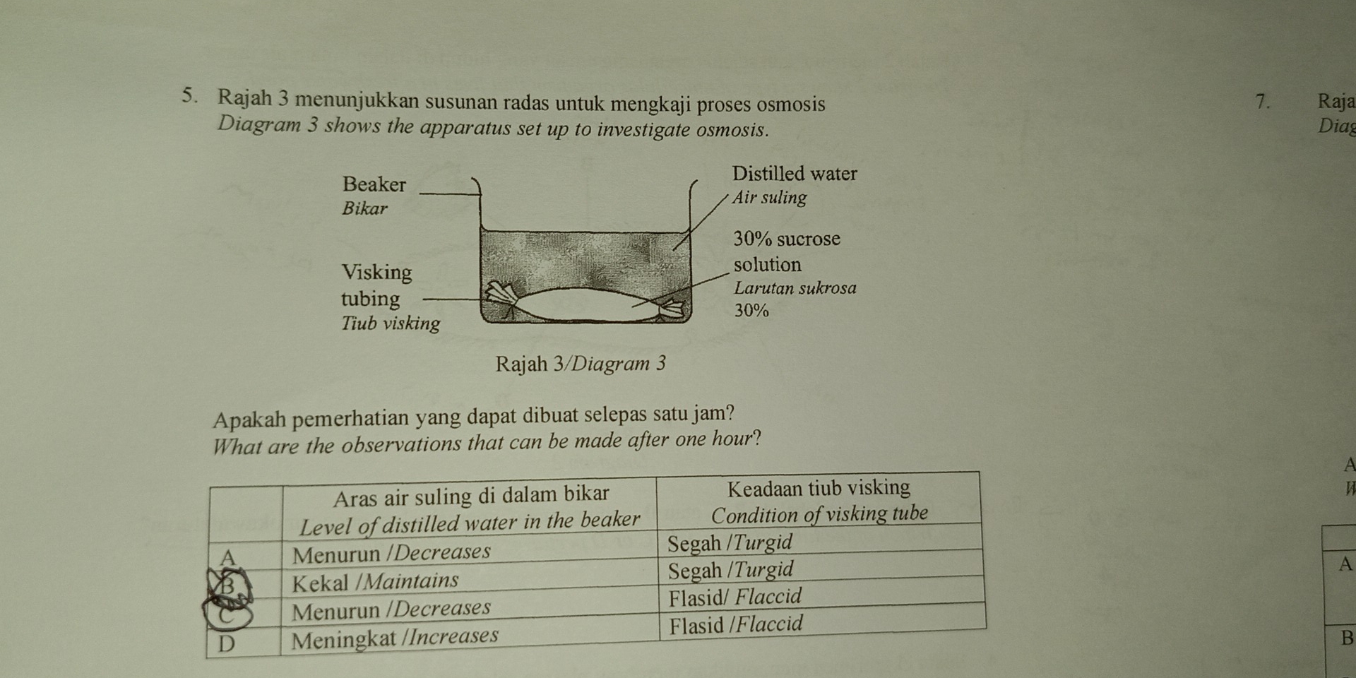 Rajah 3 menunjukkan susunan radas untuk mengkaji proses osmosis 7. Raja Diag 
Diagram 3 shows the apparatus set up to investigate osmosis. 
Apakah pemerhatian yang dapat dibuat selepas satu jam? 
What are the observations that can be made after one hour? 
A 
V 
A 
B