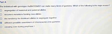 The individual with genotype AaBbCCDdEE can make many kinds of gametes. Which of the following is the major reason?
segregation of maternall and paternal alleles
recurrent mutations forming new allelies
the tendency for dominant alleles to segregate together
different possible assortment of chromosomes into gametes
crossing over during prophase !