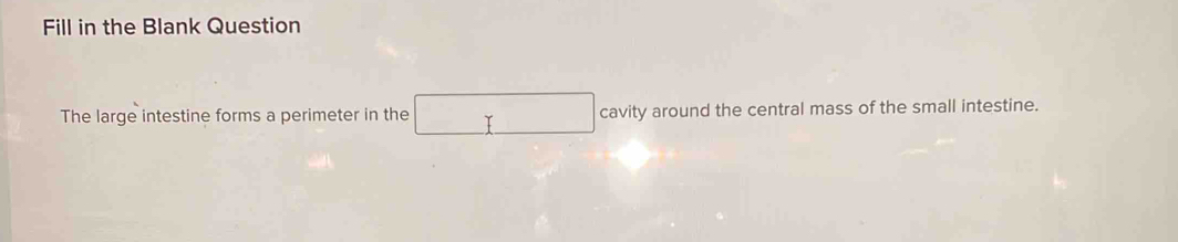 Fill in the Blank Question 
The large intestine forms a perimeter in the . cavity around the central mass of the small intestine.