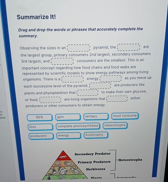 Summarize It!
Drag and drop the words or phrases that accurately complete the
summary.
Observing the sizes in an □ pyramid, the □ are
the largest group, primary consumers 2nd largest, secondary consumers
3rd largest, and □ consumers are the smallest. This is an
important concept regarding how food chains and food webs are
represented by scientific models to show energy pathways among living
organisms. There is a □ energy ·s ·s , as you move up
each successive level of the pyramid. ... are producers like
plants and phytoplankton that; 4^^^circ  to make their own glucose,
or food. ·s ·s are living organisms that (□ ,_ ) either
producers or other consumers to obtain energy.
4 -
5
arter 90% gain tertiary must consume
loss complete photosynthesis Heterotrophs
producers energy Autotrophs
Secondary Predator
Primary Predators - Heterotrophs
Herbivores
Plants