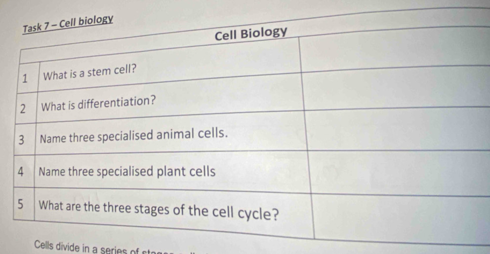 Cells divide in a series of