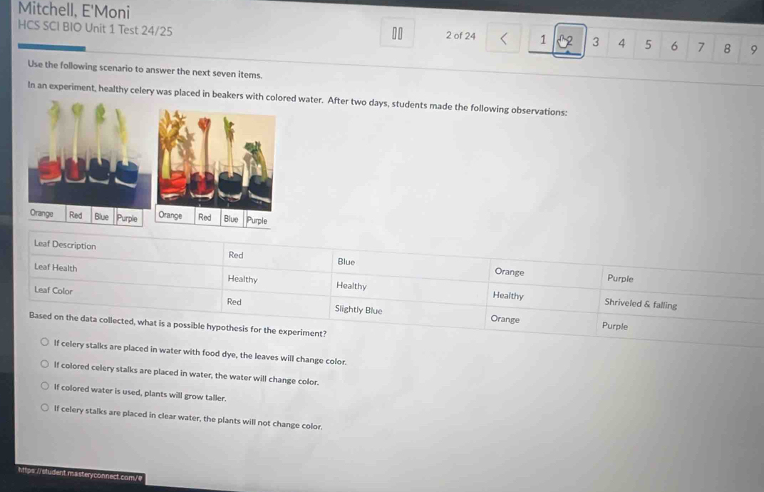 Mitchell, E'Moni
10
HCS SCI BIO Unit 1 Test 24/25 2 of 24 1 3 4 5 6 7 8 9
Use the following scenario to answer the next seven items.
In an experiment, healthy celery was placed in beakers with colored water. After two days, students made the following observations:
Orange Red Blue Purple 
Leaf Description
Red Blue Purple
Orange
Leaf Health Healthy
Healthy Healthy Shriveled & falling
Leaf Color Red Slightly Blue
Orange Purple
Based on the data collected, what is a possible hypothesis for the experiment?
If celery stalks are placed in water with food dye, the leaves will change color.
If colored celery stalks are placed in water, the water will change color.
If colored water is used, plants will grow taller.
If celery stalks are placed in clear water, the plants will not change color.
https://student masteryconnect.com/#
