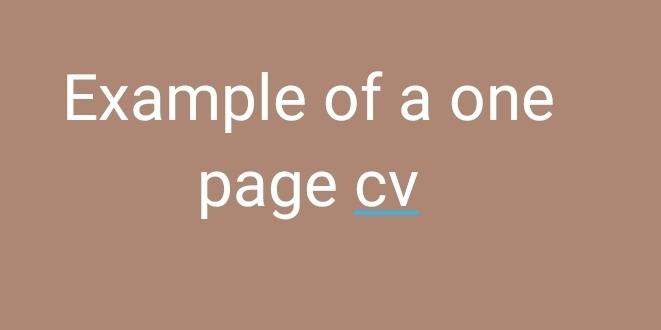 Example of a one 
page cv