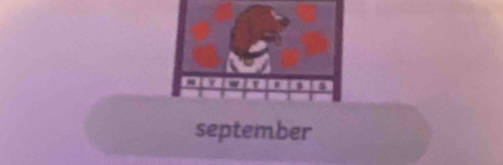 8 w
s 
september