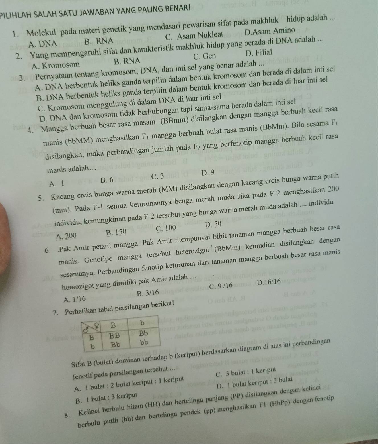 PILIHLAH SALAH SATU JAWABAN YANG PALING BENAR!
1. Molekul pada materi genetik yang mendasari pewarisan sifat pada makhluk hidup adalah ...
A. DNA B. RNA C. Asam Nukleat D.Asam Amino
2. Yang mempengaruhi sifat dan karakteristik makhluk hidup yang berada di DNA adalah ...
A. Kromosom B. RNA C. Gen D. Filial
3. Pernyataan tentang kromosom, DNA, dan inti sel yang benar adalah ...
A. DNA berbentuk heliks ganda terpilin dalam bentuk kromosom dan berada di dalam inti sel
B. DNA berbentuk heliks ganda terpilin dalam bentuk kromosom dan berada di luar inti sel
C. Kromosom menggulung di dalam DNA di luar inti sel
D. DNA dan kromosom tidak berhubungan tapi sama-sama berada dalam inti sel
4. Mangga berbuah besar rasa masam (BBmm) disilangkan dengan mangga berbuah kecil rasa
manis (bbMM) menghasilkan F_1 mangga berbuah bulat rasa manis (BbMm). Bila sesama F_1
disilangkan, maka perbandingan jumlah pada F_2 yang berfenotip mangga berbuah kecil rasa
manis adalah….
C. 3 D. 9
A. 1 B. 6
5. Kacang ercis bunga warna merah (MM) disilangkan dengan kacang ercis bunga warna putih
(mm). Pada F-1 semua keturunannya benga merah muda Jika pada F-2 menghasilkan 200
individu, kemungkinan pada F-2 tersebut yang bunga warna merah muda adalah .... individu
A. 200 B. 150 C. 100 D. 50
6. .Pak Amir petani mangga. Pak Amir mempunyai bibit tanaman mangga berbuah besar rasa
manis. Genotipe mangga tersebut heterozigot (BbMm) kemudian disilangkan dengan
sesamanya. Perbandingan fenotip keturunan dari tanaman mangga berbuah besar rasa manis
homozigot yang dimiliki pak Amir adalah ...
A. 1/16 B. 3/16 C. 9 /16 D.16/16
7. Perhatikan tabel persilangan berikut!
Sifat B (bulat) dominan terhadap b (keriput) berdasarkan diagram di atas ini perbandingan
fenotif pada persilangan tersebut ...
A. 1 bulat : 2 bulat keriput : 1 keriput C. 3 bulat : 1 keriput
B. 1 bulat : 3 keriput D. 1 bulat keriput : 3 bulat
8. Kelinci berbulu hitam (HH) dan bertelinga panjang (PP) disilangkan dengan kelinci
berbulu putih (hh) dan bertelinga pendek (pp) menghasilkan F1 (HhPp) dengan fenotip