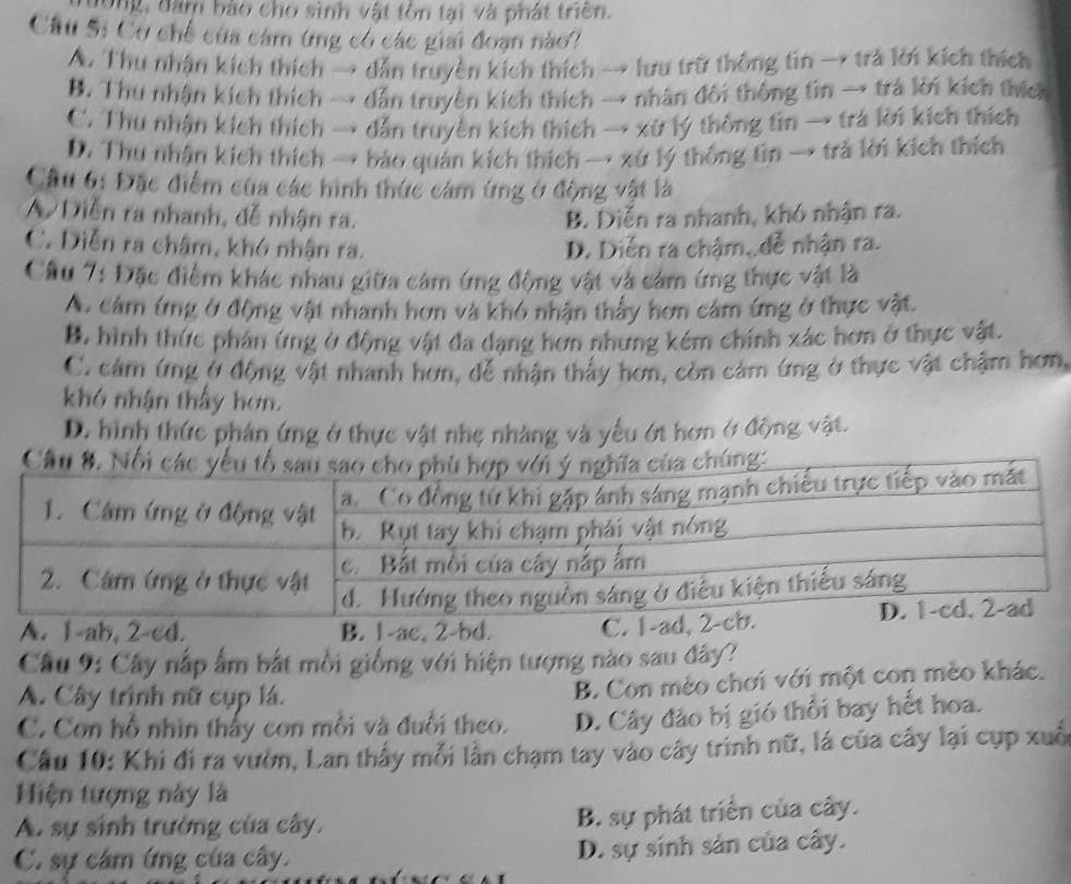 dông, đam bào cho sinh vật tôn tại và phát triền.
Câu S: Cơ chế của cảm ứng có các giai đoạn nào?
A. Thu nhận kích thích → dẫn truyền kích thích → lưu trữ thông tin → trả lời kích thích
B. Thu nhận kích thích → dẫn truyền kích thích → nhân đôi thông tin → trà lới kích thích
C. Thu nhận kích thích → dẫn truyền kích thích → xứ lý thông tin → trá lời kích thích
D. Thu nhận kích thích → báo quán kích thích → xứ lý thống tìn → trả lời kích thích
Câu 6: Đặc điểm của các hình thức cảm ứng ở động vật là
A Diễn ra nhanh, đễ nhận ra. B. Diễn ra nhanh, khó nhận ra.
C. Diễn ra châm, khó nhận ra. D. Diễn ra chậm,đễ nhận ra.
Cầu 7: Đặc điểm khác nhau giữa cảm ứng động vật và cảm ứng thực vật là
A. cám ứng ở động vật nhanh hơn và khó nhận thấy hơn cảm ứng ở thực vật.
B. hình thức phản ứng ở động vật đa dạng hơn nhưng kém chính xác hơn ở thực vật.
C. cảm ứng ở động vật nhanh hơn, dễ nhận thấy hơn, còn cảm ứng ở thực vật chậm hơn,
khó nhận thấy hơn.
D. hình thức phân ứng ở thực vật nhẹ nhàng và yếu ớt hơn ở động vật.
A. 1-ab, 2-cd. B. 1-ac, 2-bd. 
Câu 9: Cây nấp ấm bắt mồi giống với hiện tượng nào sau đây?
A. Cây trình nữ cụp lá.
B. Con mèo chơi với một con mèo khác.
C. Con hồ nhìn thấy con mỗi và đuổi theo. D. Cây đảo bị gió thổi bay hết hoa.
Câu 10: Khi đi ra vườn, Lan thấy mỗi lần chạm tay vào cây trình nữ, lá của cây lại cụp xuố
Hiện tượng này là
A. sự sinh trưởng của cây. B. sự phát triển của cây.
C. sự cảm ứng của cây. D. sự sinh sản của cây.