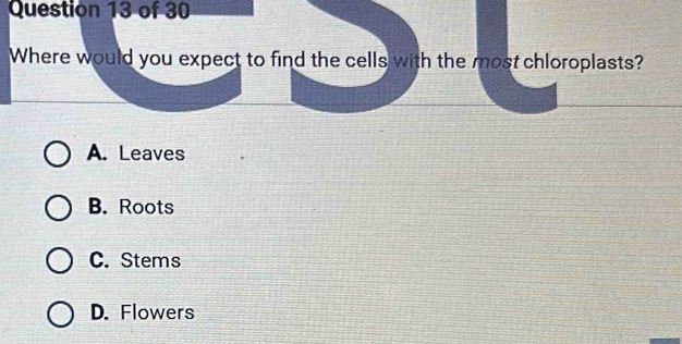 Where would you expect to find the cells with the most chloroplasts?
A. Leaves
B. Roots
C. Stems
D. Flowers