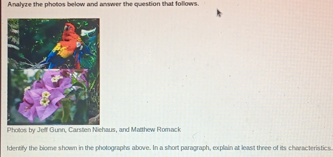 Solved: Analyze the photos below and answer the question that follows ...