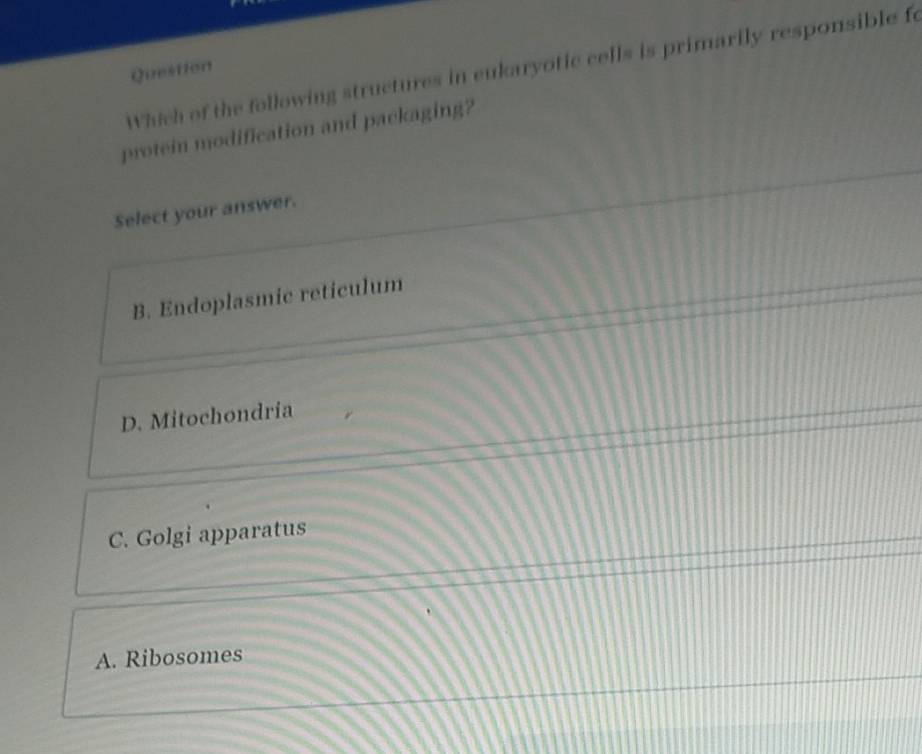 Which of the following structures in eukaryotic cells is primarily responsible fo
Question
protein modification and packaging?
Select your answer.
B. Endoplasmic reticulum
D. Mitochondria
C. Golgi apparatus
A. Ribosomes