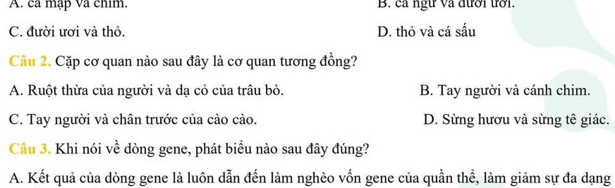 A. ca mạp va chim. B. ca ngữ và đưới ưới.
C. đười ươi và thỏ. D. thỏ và cá sấu
Câu 2. Cặp cơ quan nào sau đây là cơ quan tương đồng?
A. Ruột thừa của người và dạ cỏ của trâu bò. B. Tay người và cánh chim.
C. Tay người và chân trước của cào cào. D. Sừng hươu và sừng tê giác.
Câu 3. Khi nói về dòng gene, phát biểu nào sau đây đúng?
A. Kết quả của dòng gene là luôn dẫn đến làm nghèo vốn gene của quần thể, làm giảm sự đa dạng