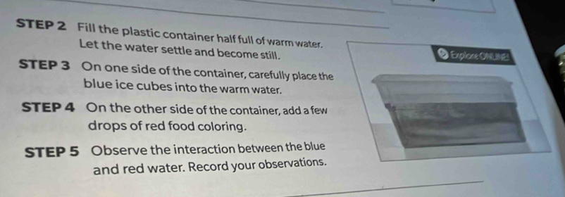 STEP 2 Fill the plastic container half full of warm water. 
Let the water settle and become still. 
● Explose ONLINES 
STEP 3 On one side of the container, carefully place the 
blue ice cubes into the warm water. 
STEP 4 On the other side of the container, add a few 
drops of red food coloring. 
STEP 5 Observe the interaction between the blue 
and red water. Record your observations.