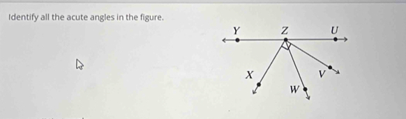 Identify all the acute angles in the figure.