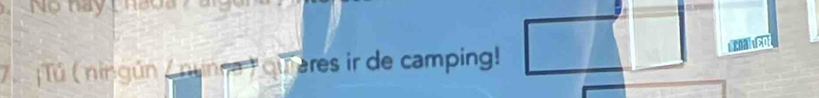 No hày phaoa 7 a 
calso 
7 Tú ( ningún / nunna ) queres ir de camping!