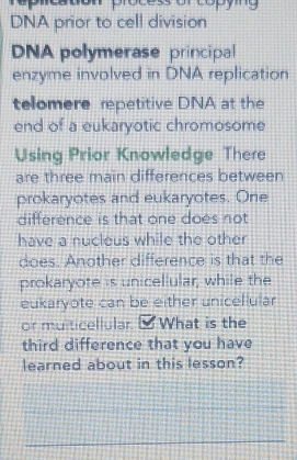 DNA prior to cell division 
DNA polymerase principal 
enzyme involved in DNA replication 
telomere repetitive DNA at the 
end of a eukaryotic chromosome 
Using Prior Knowledge There 
are three main differences between 
prokaryotes and eukaryotes. One 
difference is that one does not 
have a nucleus while the other 
does. Another difference is that the 
prokaryote is unicellular, while the 
eukaryote can be either unicellular 
or muiticellular. [ What is the 
third difference that you have 
learned about in this lesson? 
_