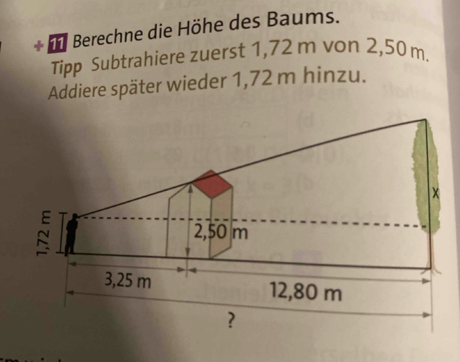 + Berechne die Höhe des Baums. 
Tipp Subtrahiere zuerst 1,72 m von 2,50 m. 
Addiere später wieder 1,72 m hinzu.