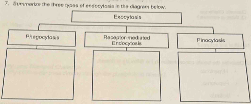 Solved: Summarize the three types of endocytosis in the diagram below ...